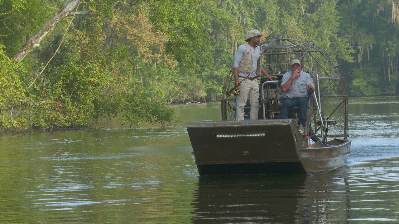 Hunt for the Crocogator