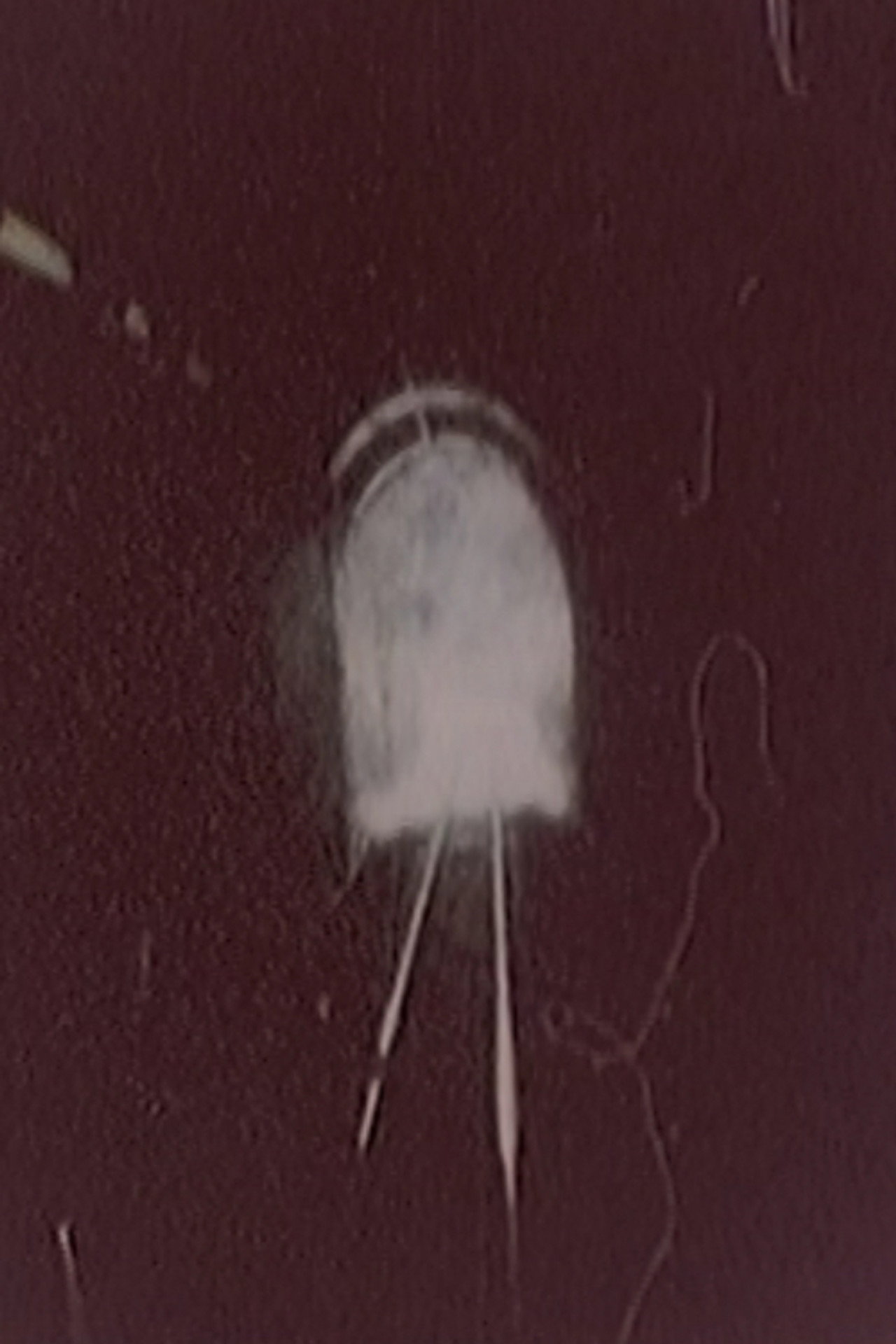 Hibaku Ningen X