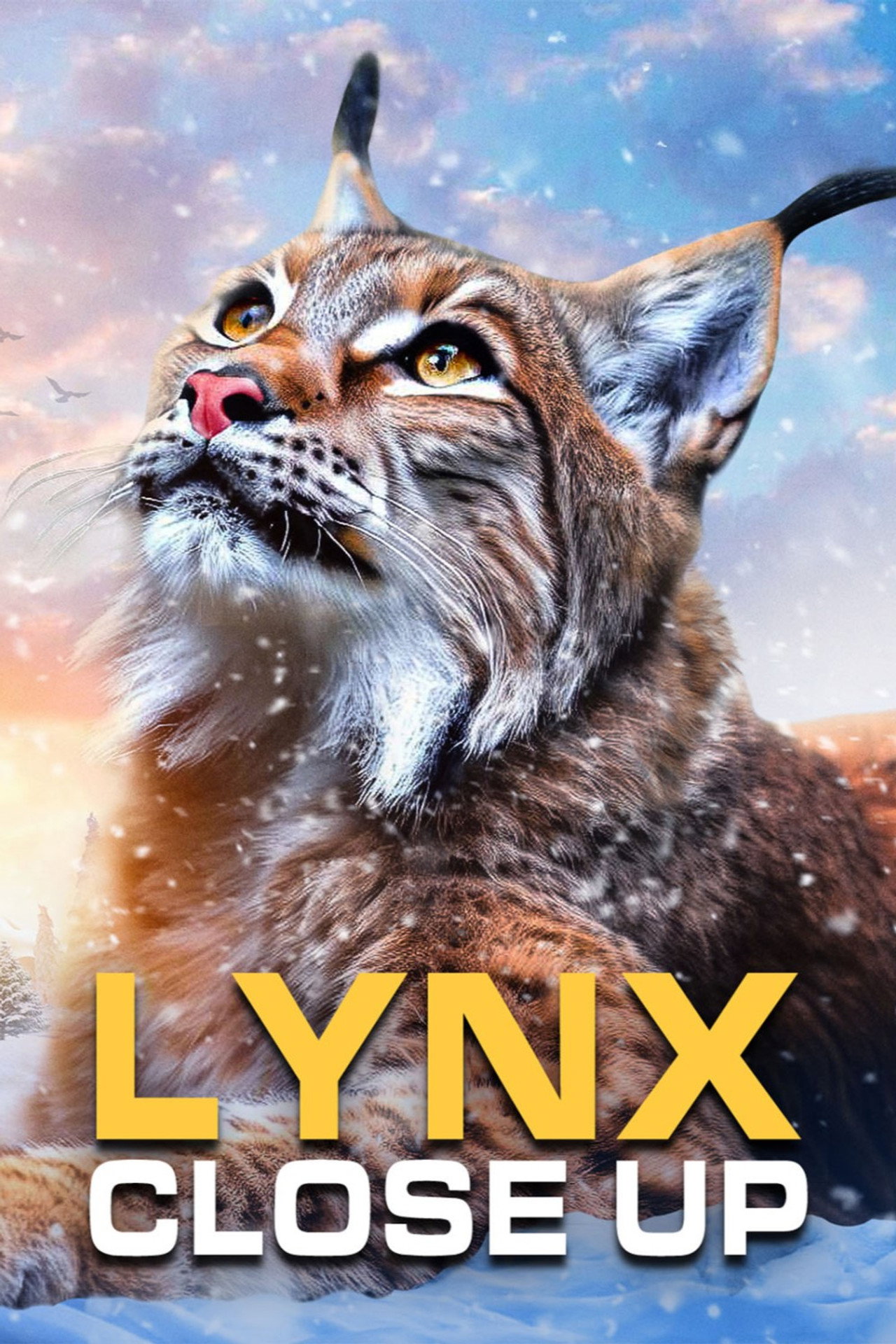 Lynx - Close Up poster