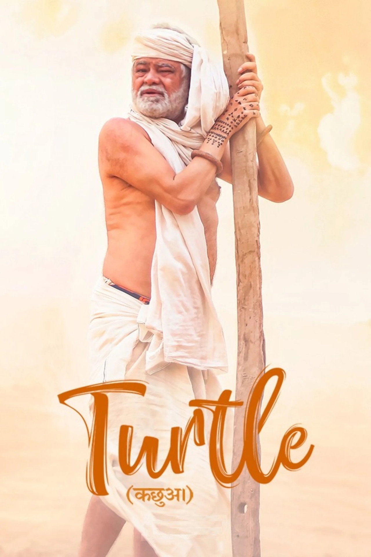 Turtle filmaffisch