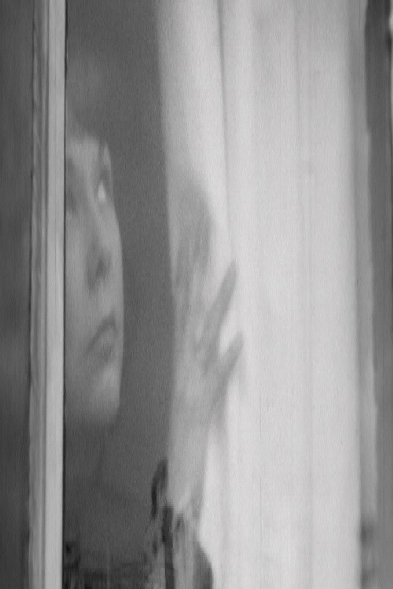 Woman in the Park filmaffisch