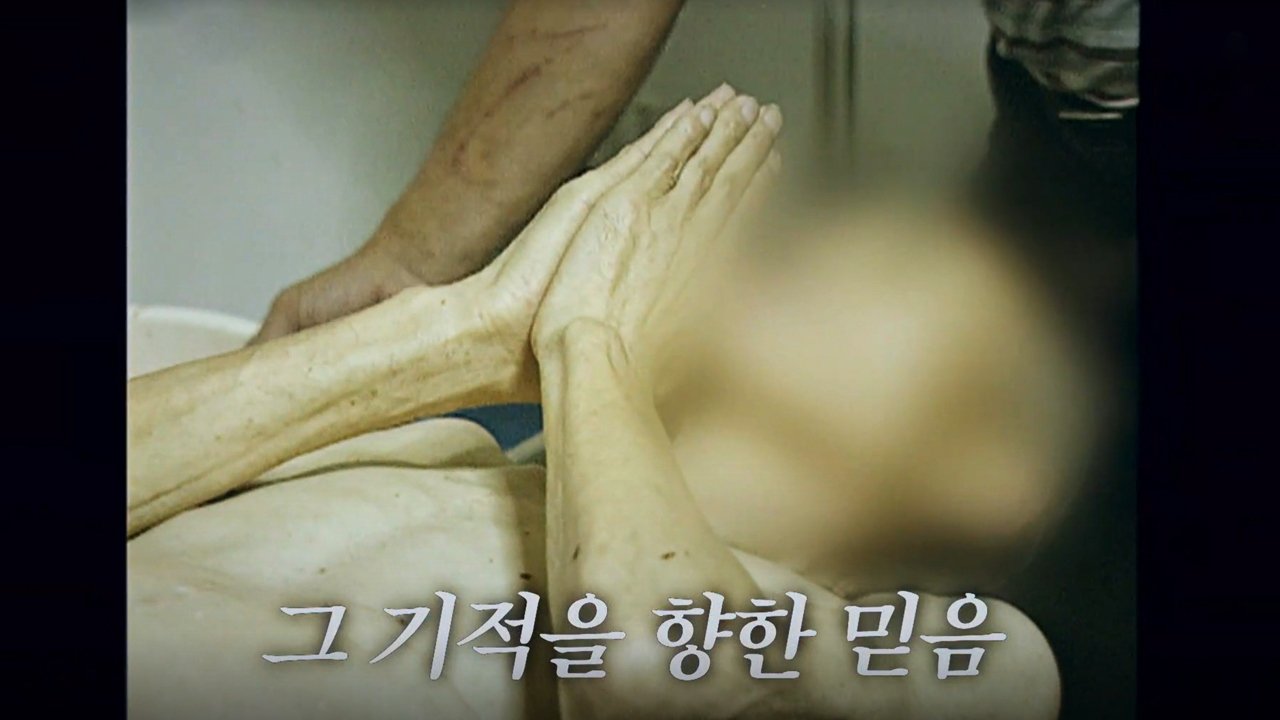 The story of the day when the tail was bitten - Season 3 Episode 114 : Episode 114