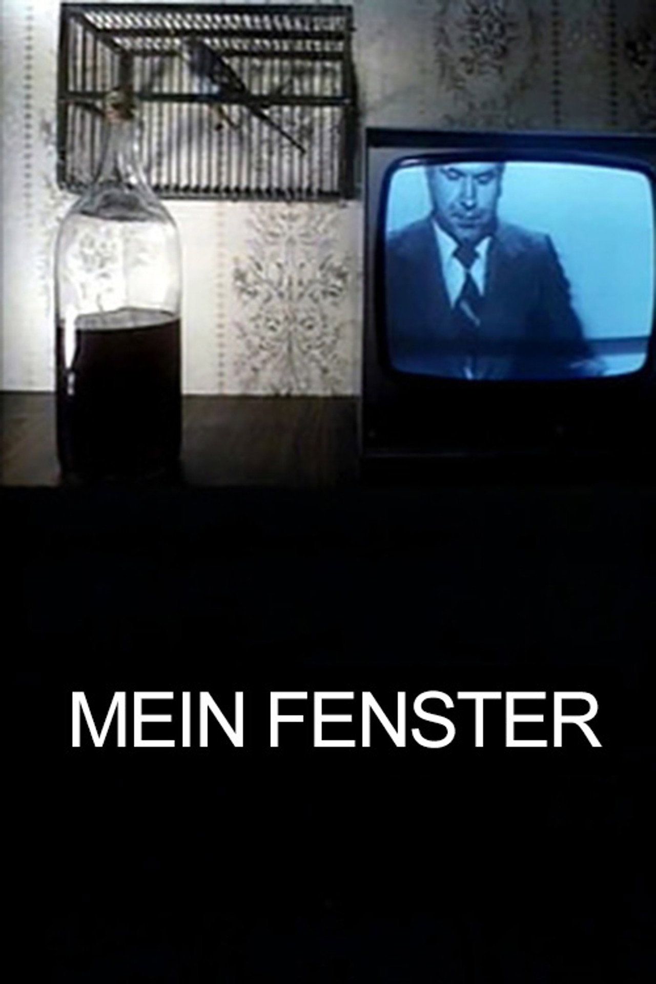 Mein Fenster filmaffisch