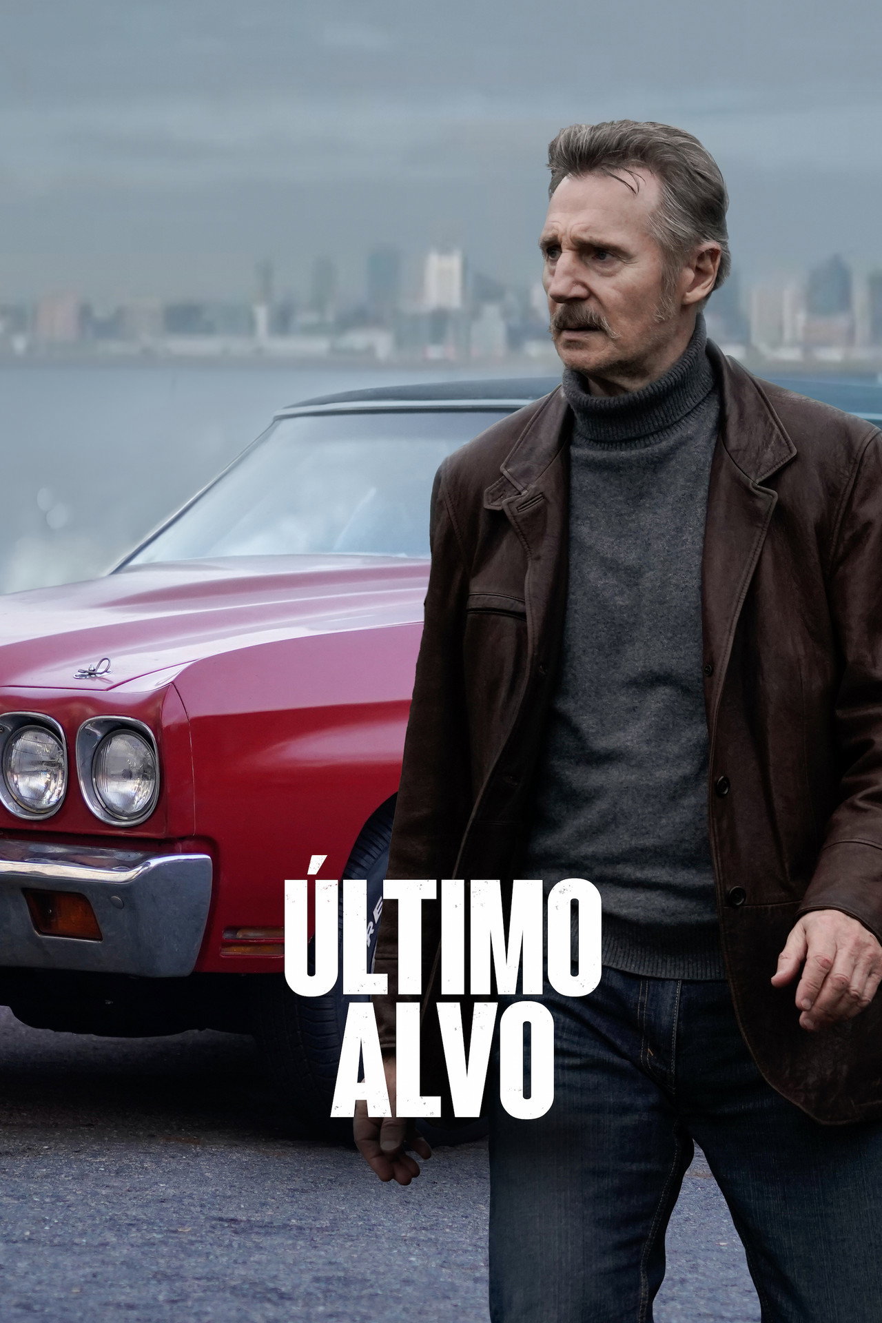 Pôster de Último Alvo