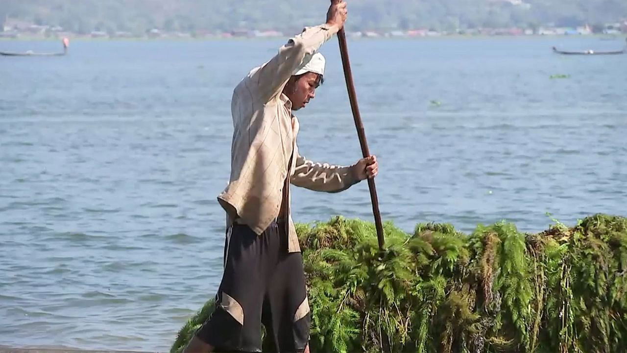 ARTE Reportage - Season 19 Episode 6 : Episode 6