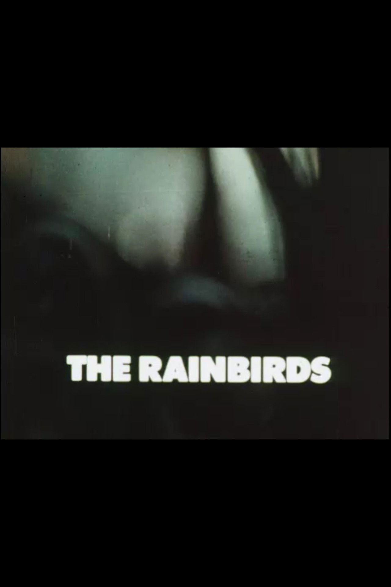 The Rainbirds Backdrop