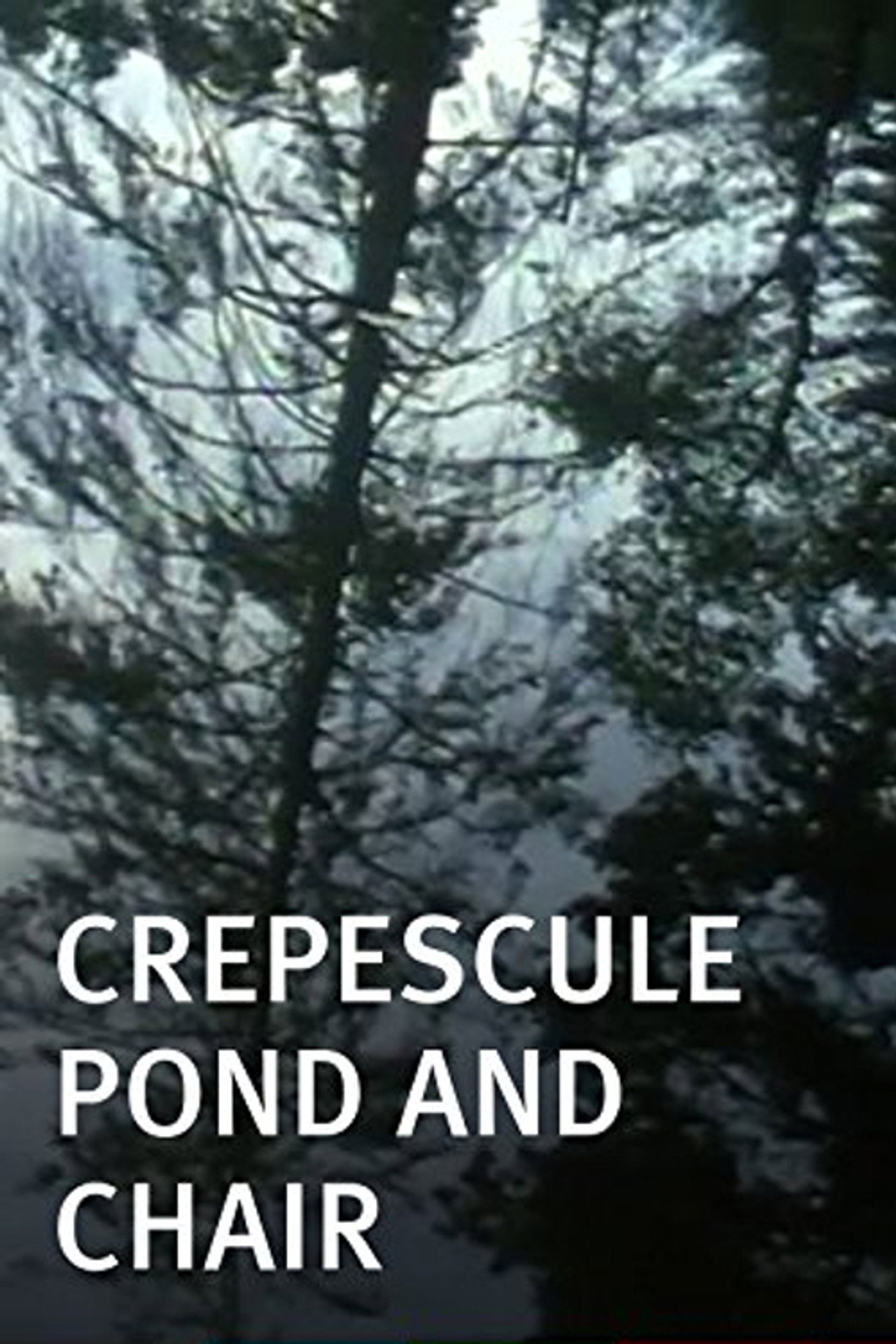 Crepescule Pond and Chair filmaffisch