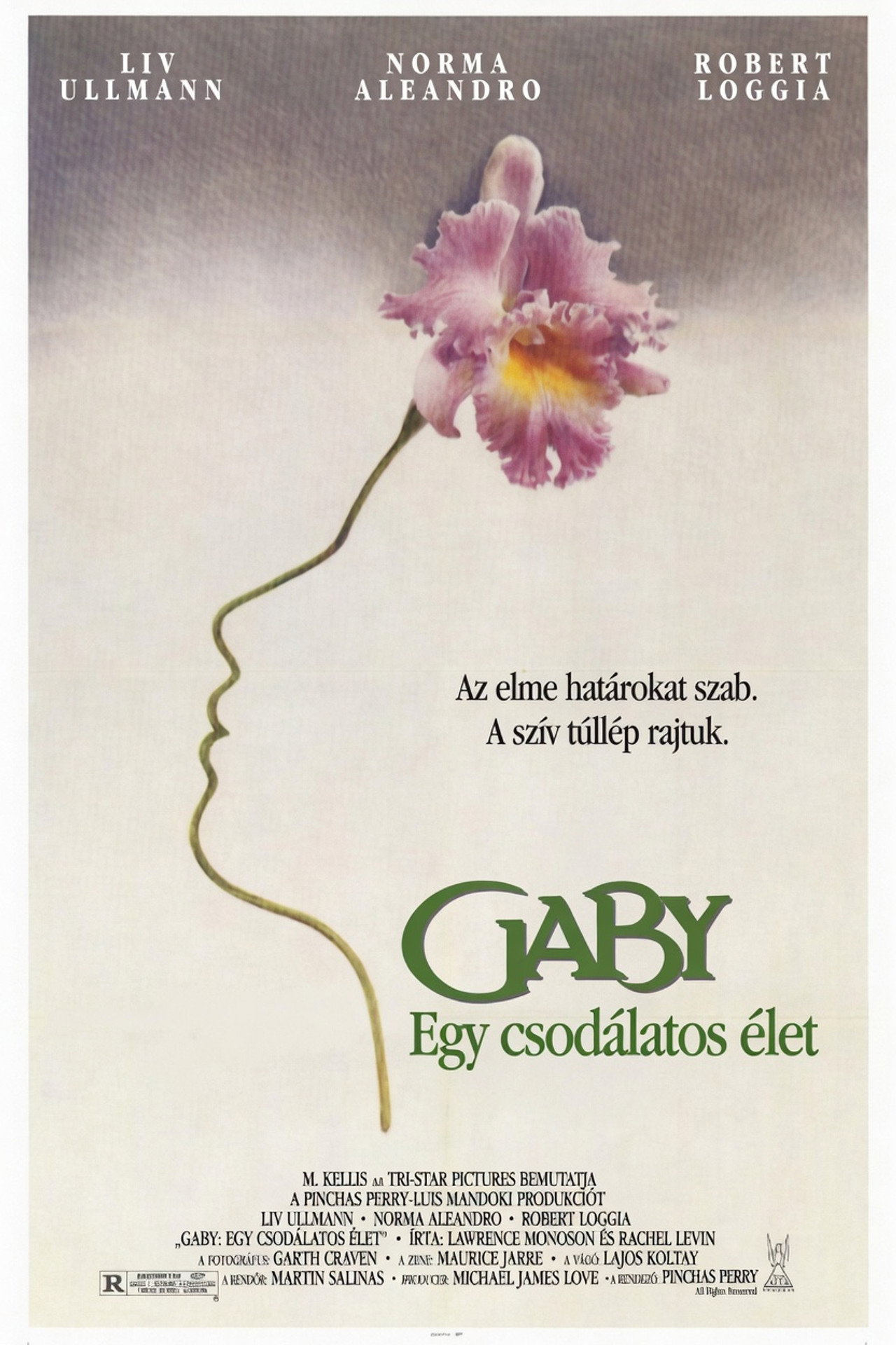 Gaby - Egy csodálatos élet – plakát 3