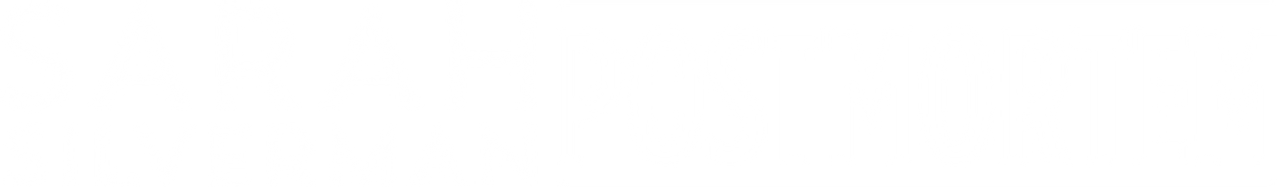 Sarah Silverman: PostMortem