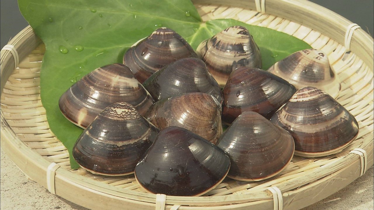 Hamaguri