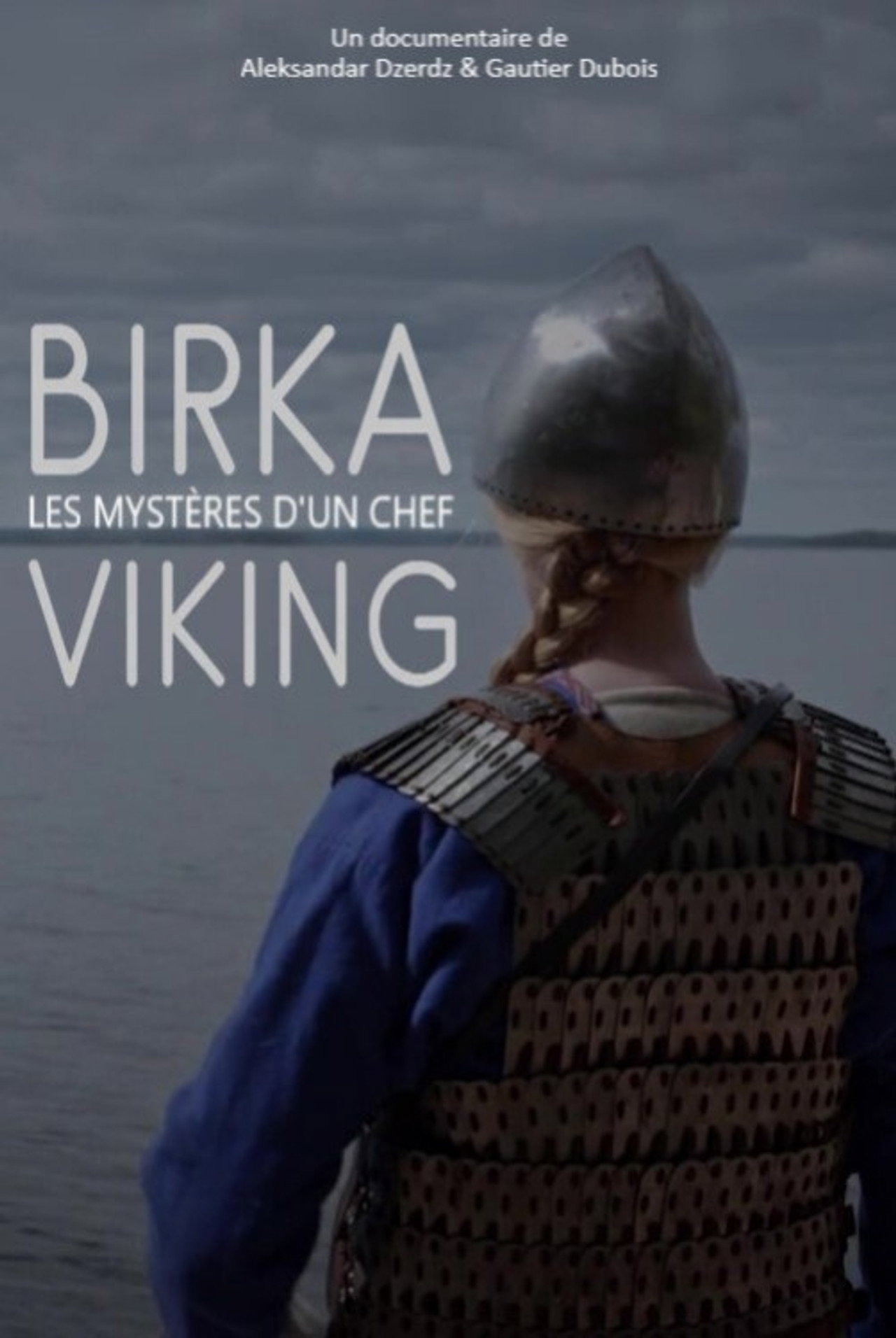 Birka, les mystères d'un chef viking filmaffisch