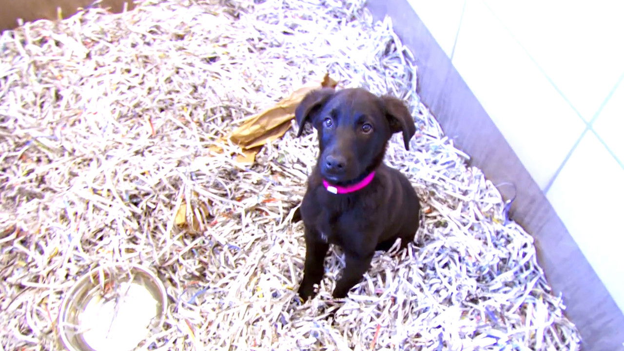 Don't Be Tardy — Épisode 3