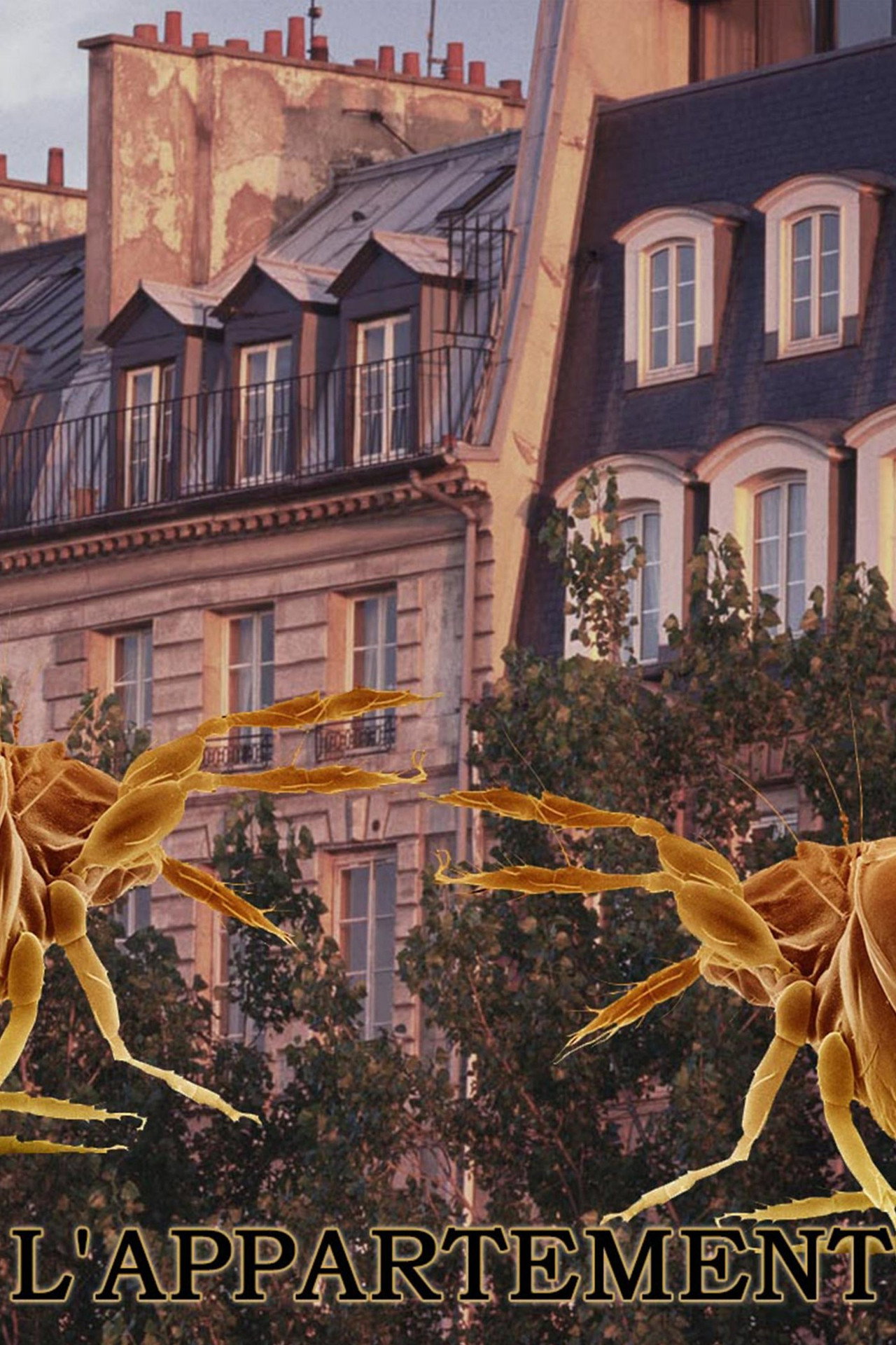 L'appartement filmaffisch