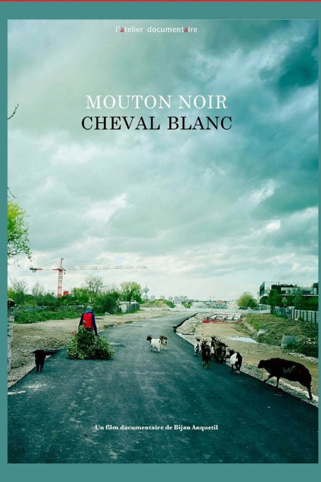 Mouton noir, cheval blanc