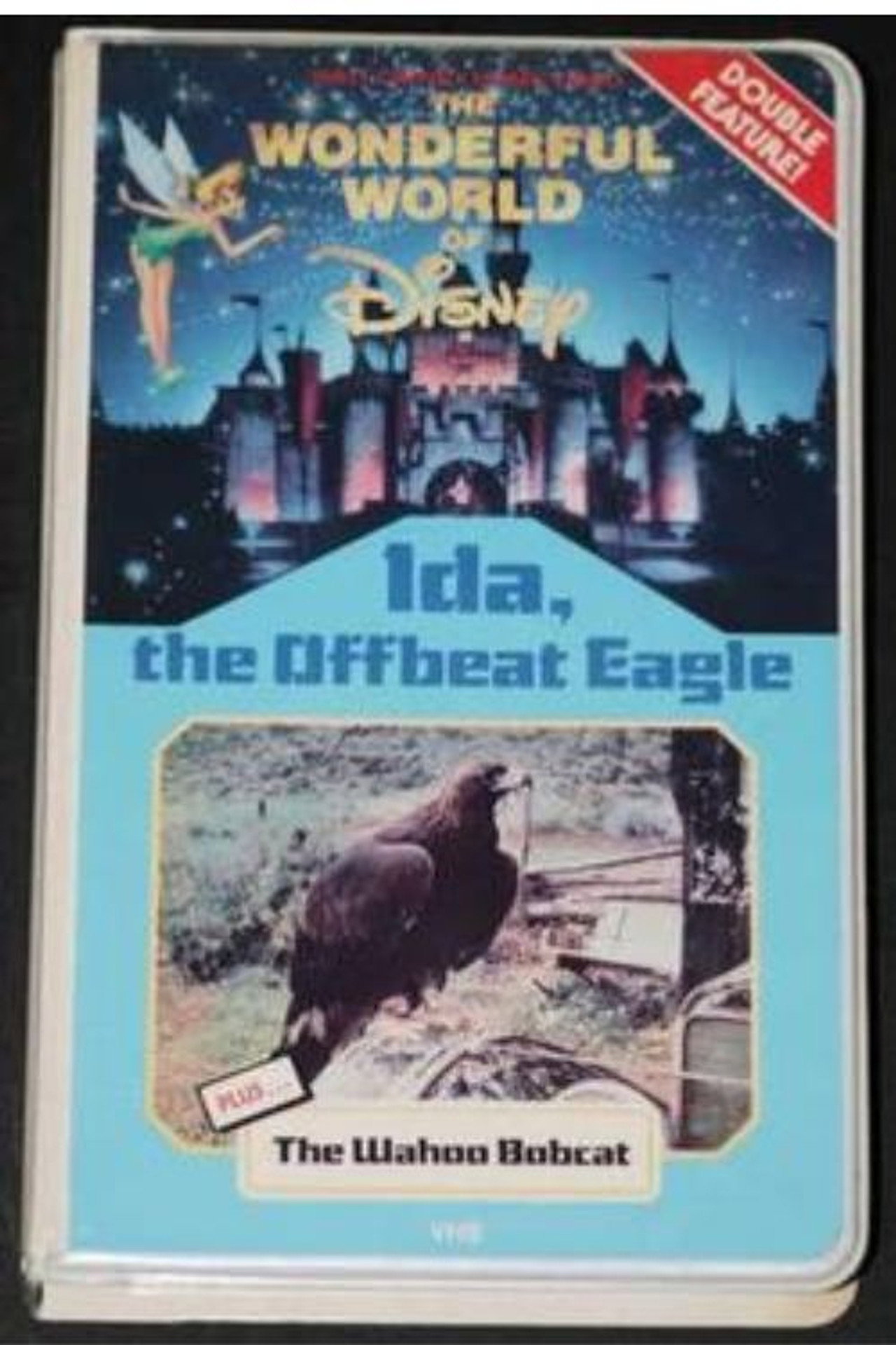 Ida, the Offbeat Eagle Backdrop