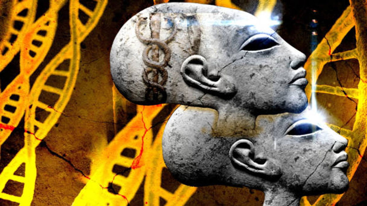 Anciennes Civilisations — Découverte ADN des crânes allongés