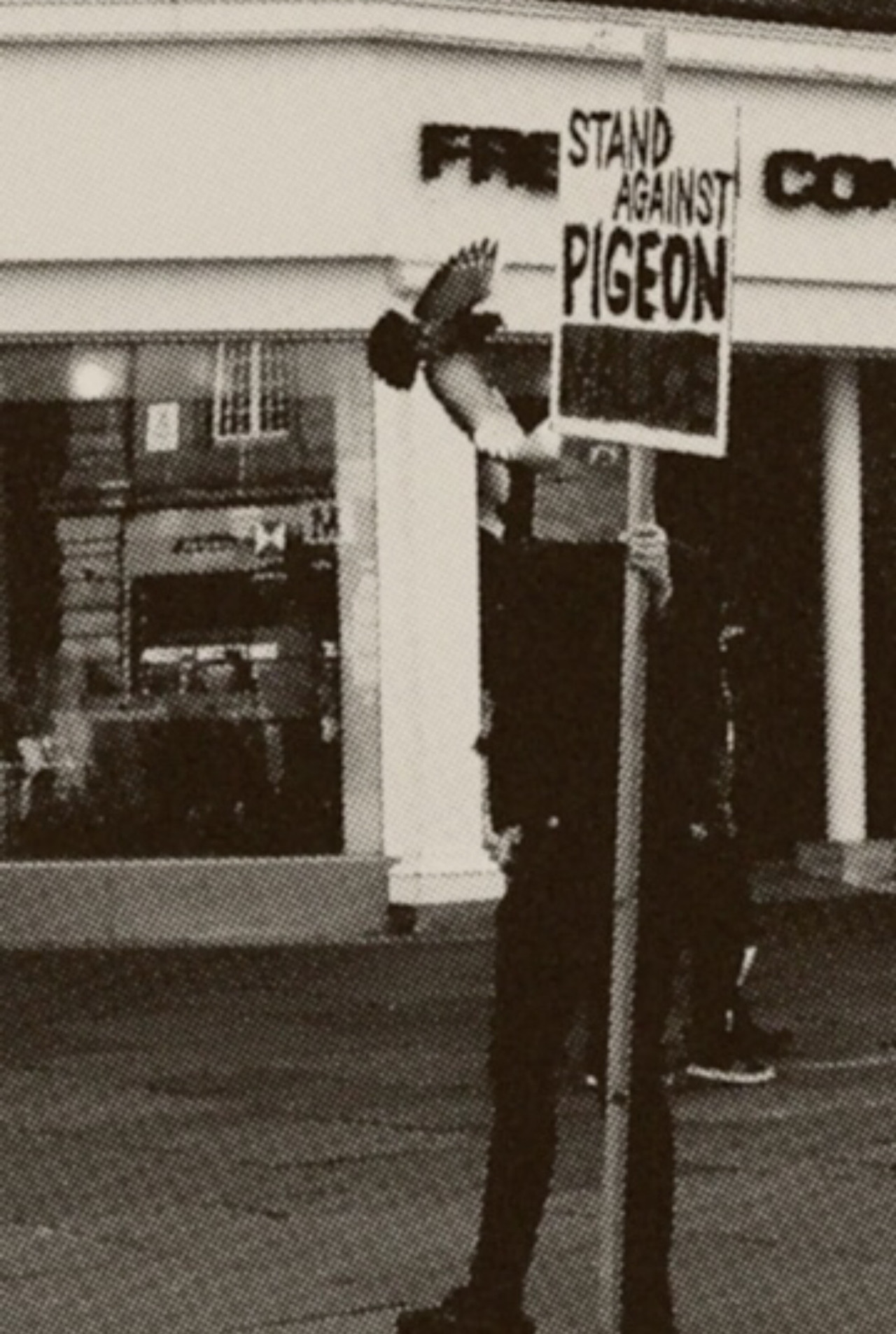 Pigeon Mafia Takes out the Trash