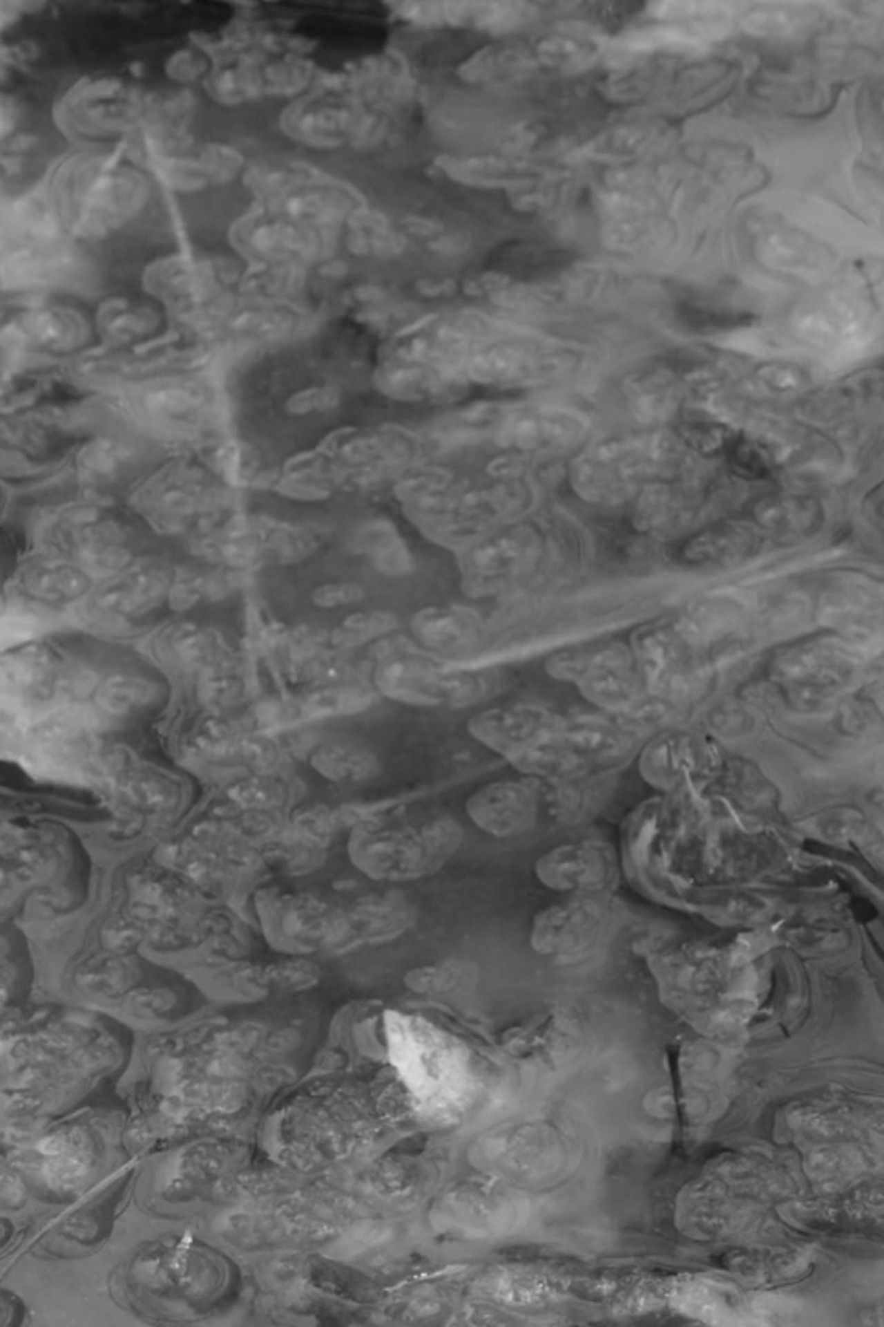 In The Bleak Midwinter Backdrop