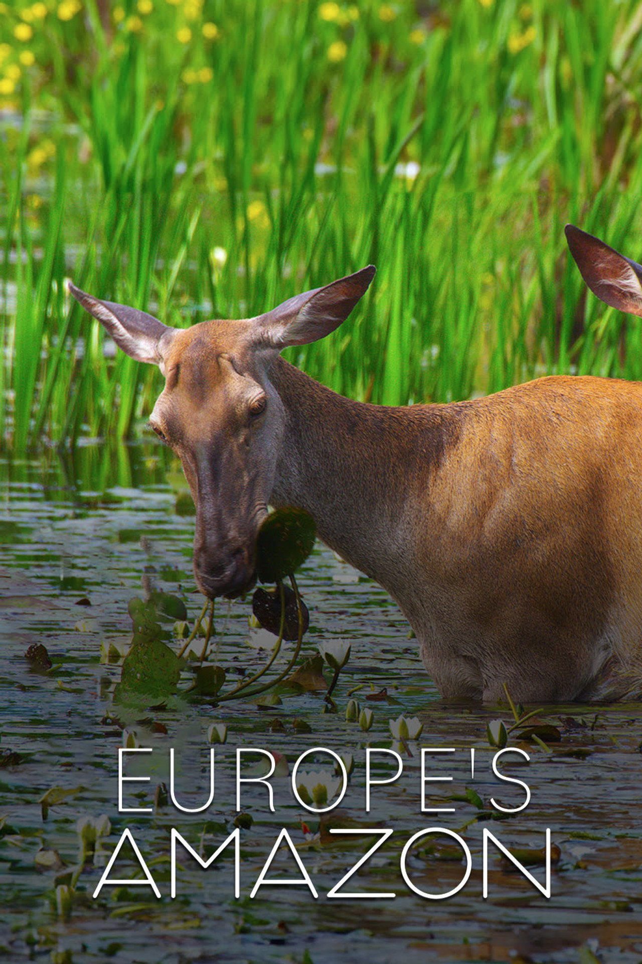 Europe's Amazon – plakát 2