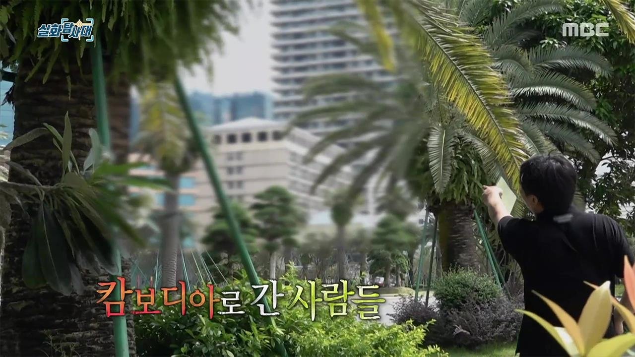 실화탐사대 - Season 1 Episode 334 : Episode 334