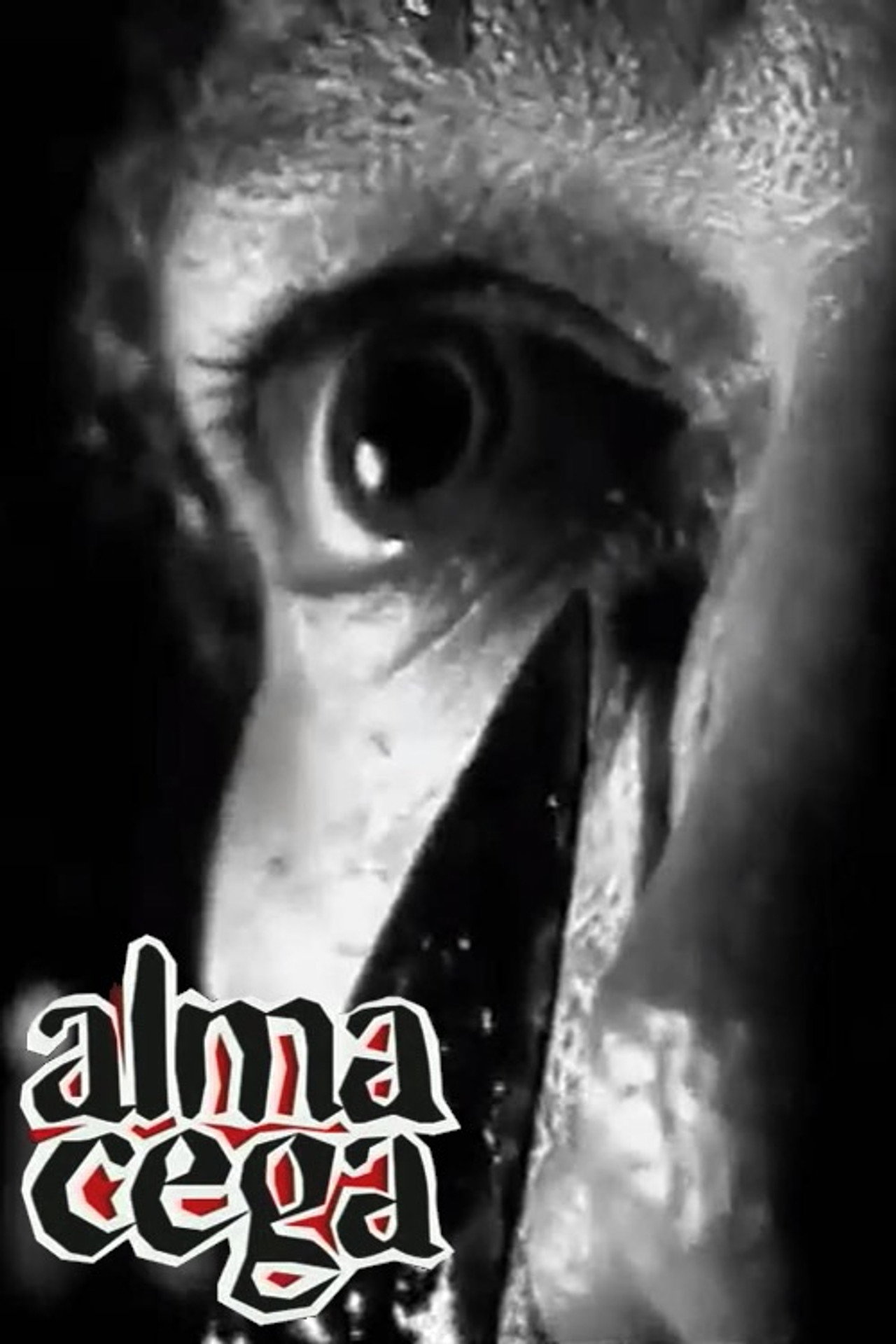 Alma Cega filmaffisch