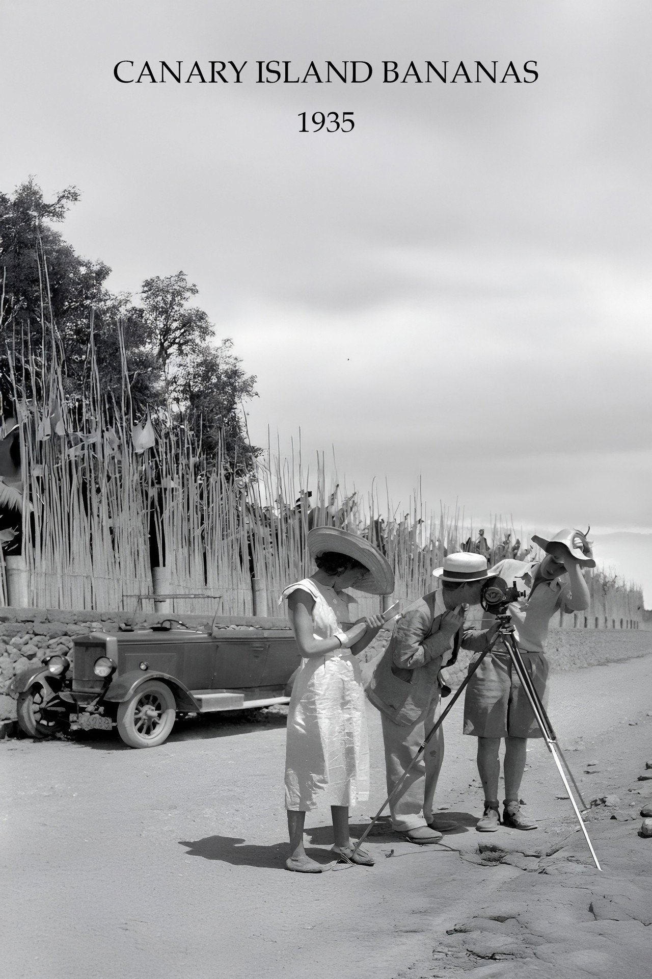 Canary Island Bananas filmaffisch