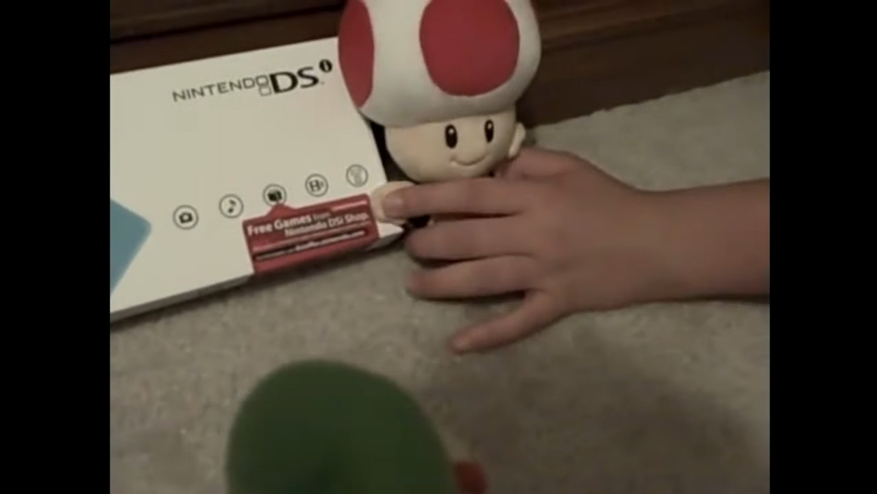 The Nintendo DSI