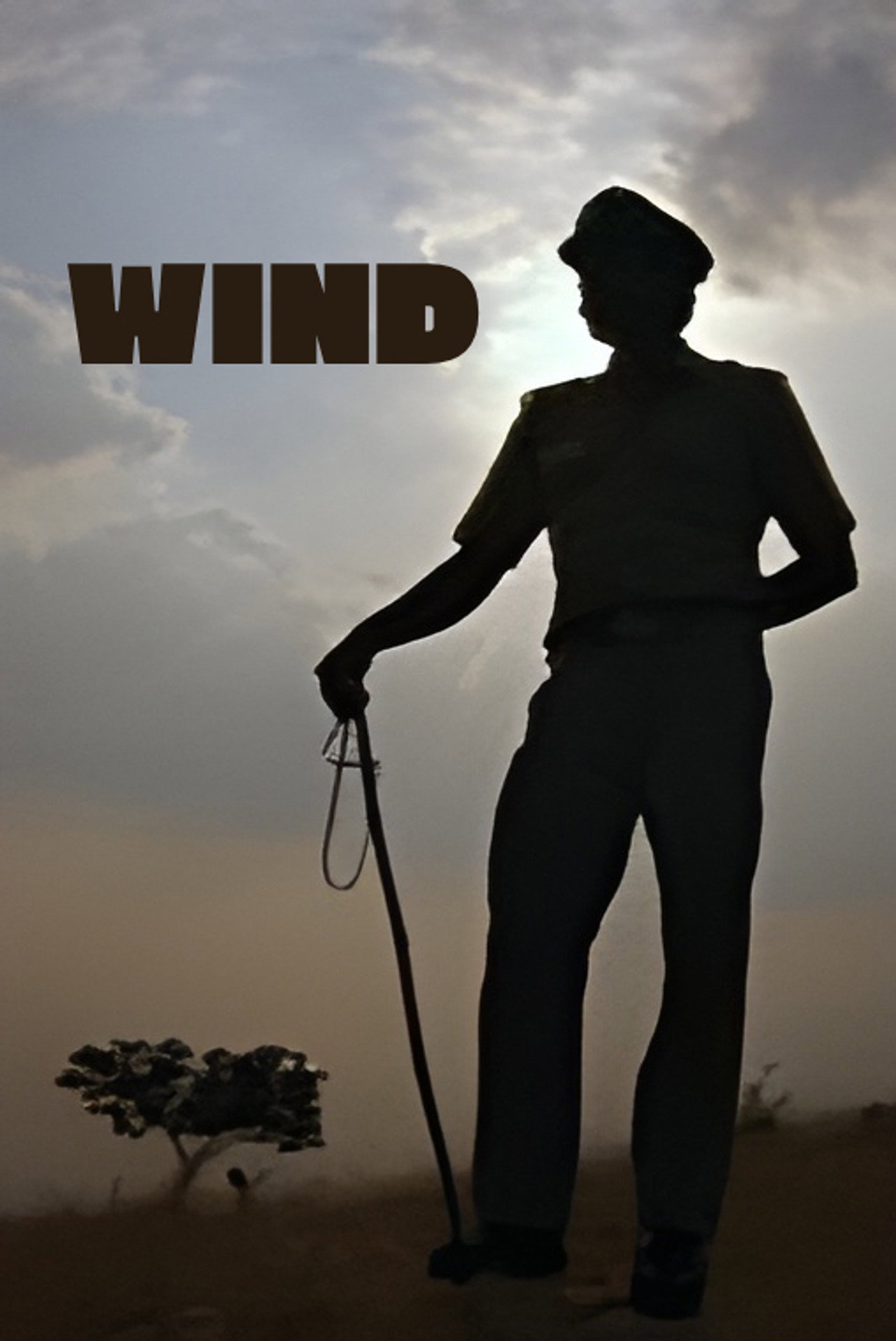 Wind filmaffisch