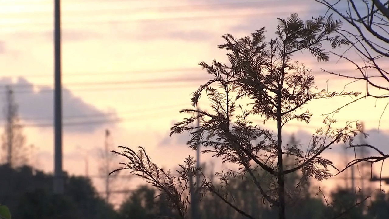 传奇故事 — Épisode 18