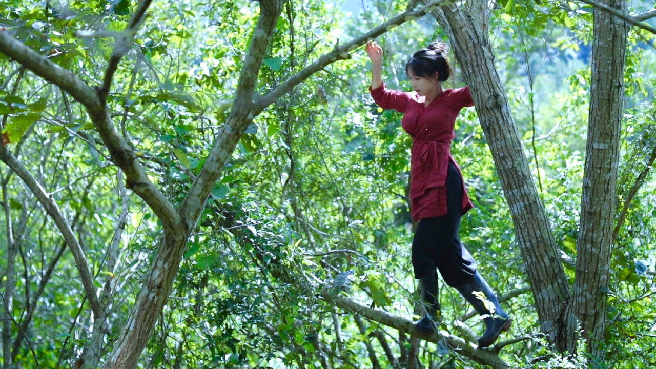 李子柒全集 — Épisode 4