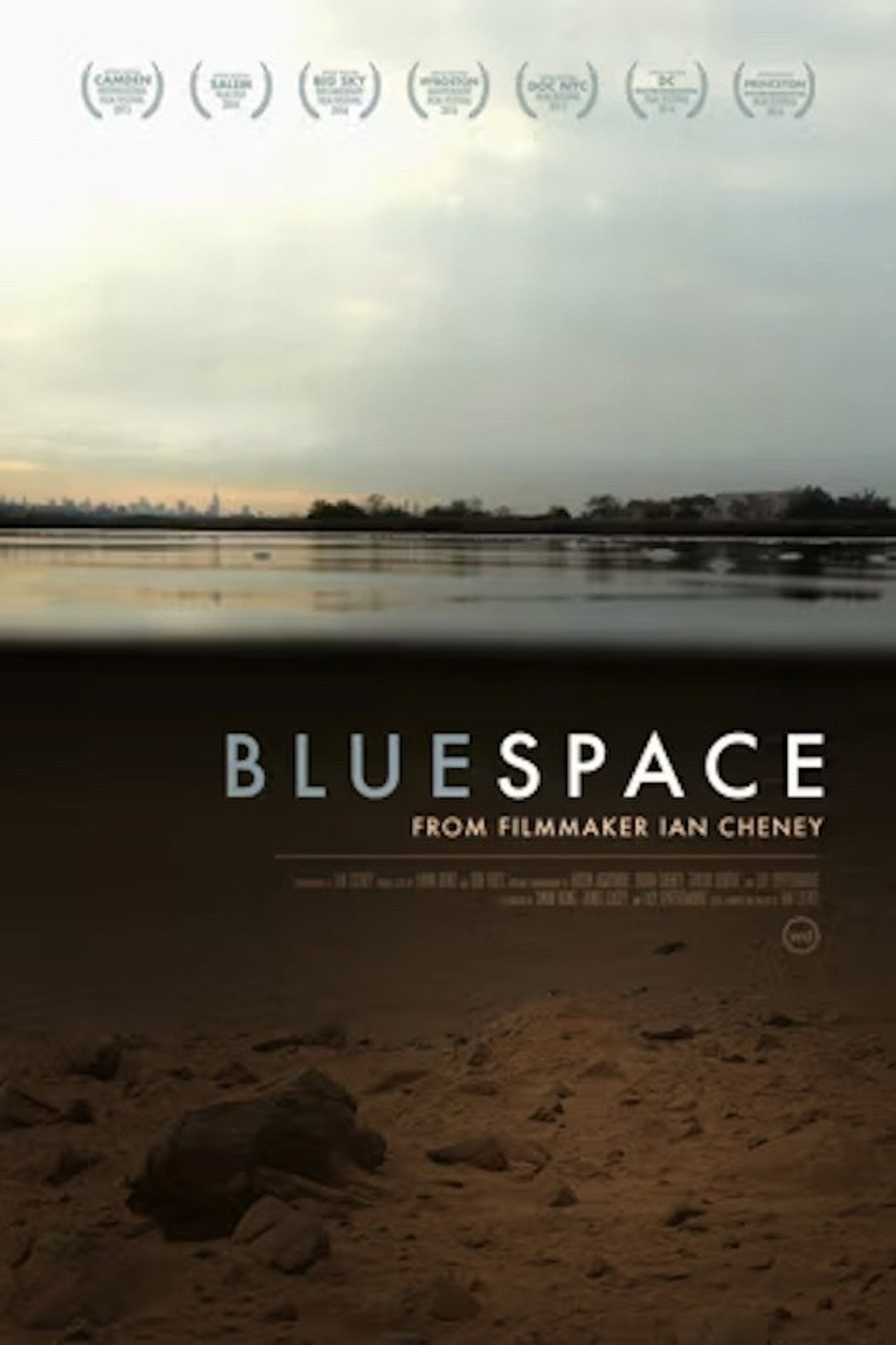 Bluespace filmaffisch