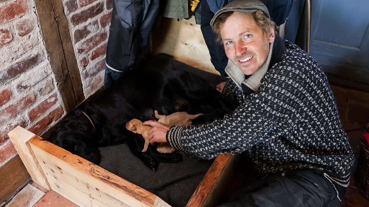 Frank & Kastaniegaarden - Season 29 Episode 10 : Episode 10