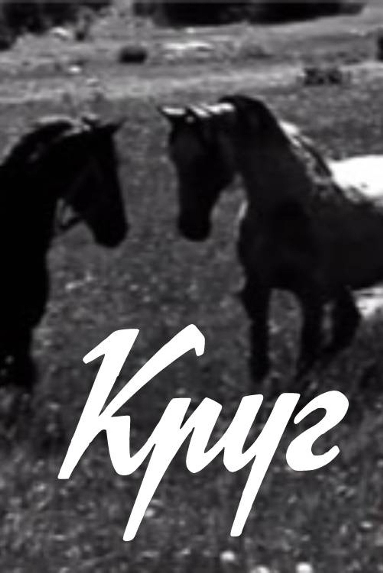 Круг filmaffisch