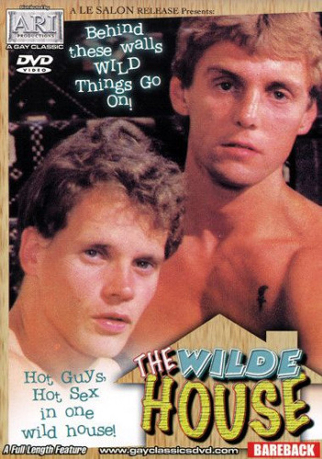 Wilde House Backdrop