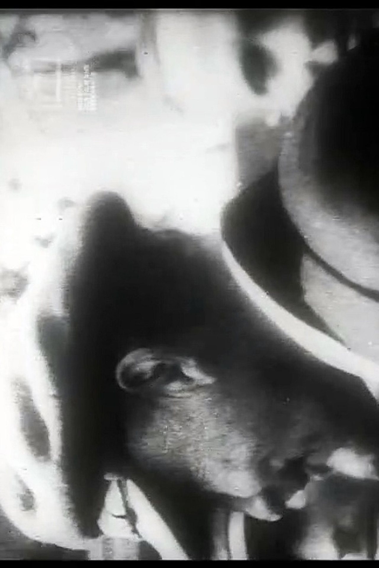 Uns mahnt ein November Backdrop