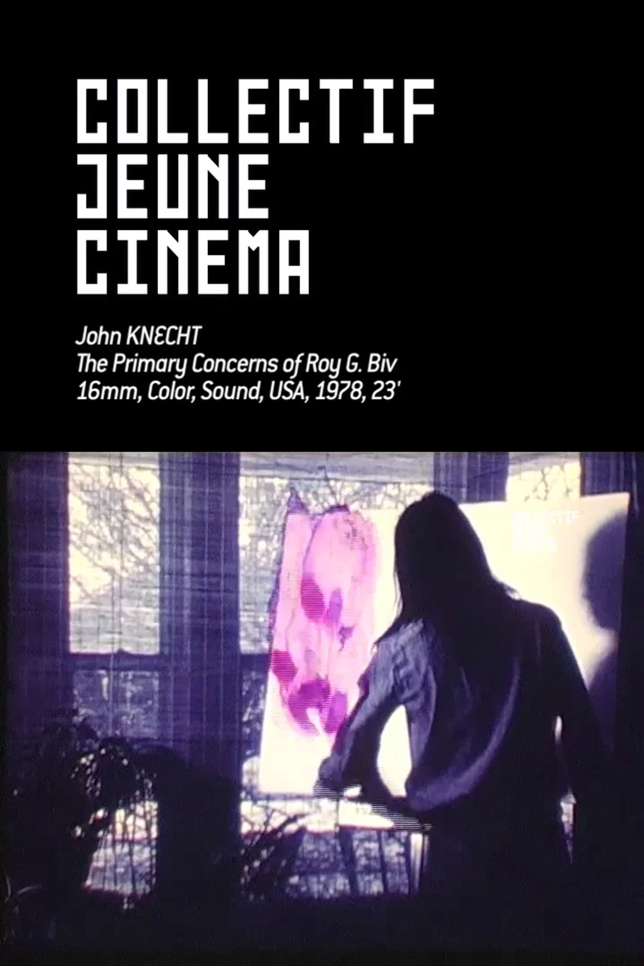 The Primary concerns of Roy G. Biv filmaffisch