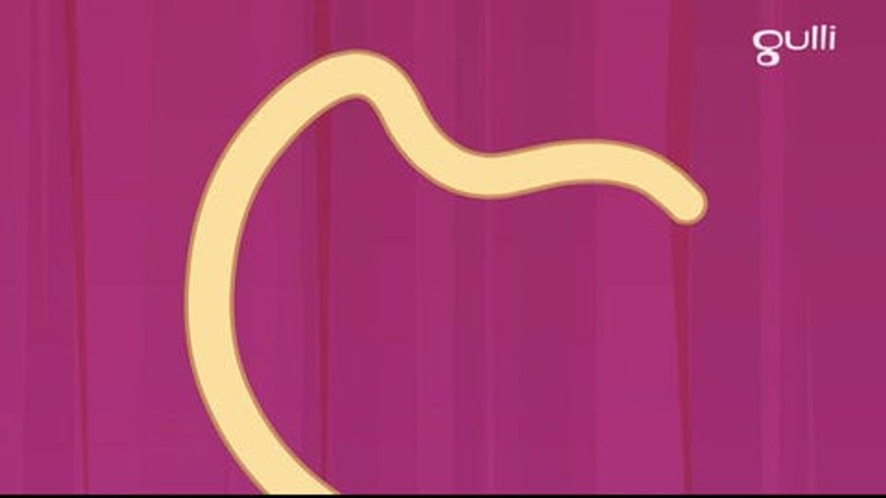 Polly Pocket — Épisode 20