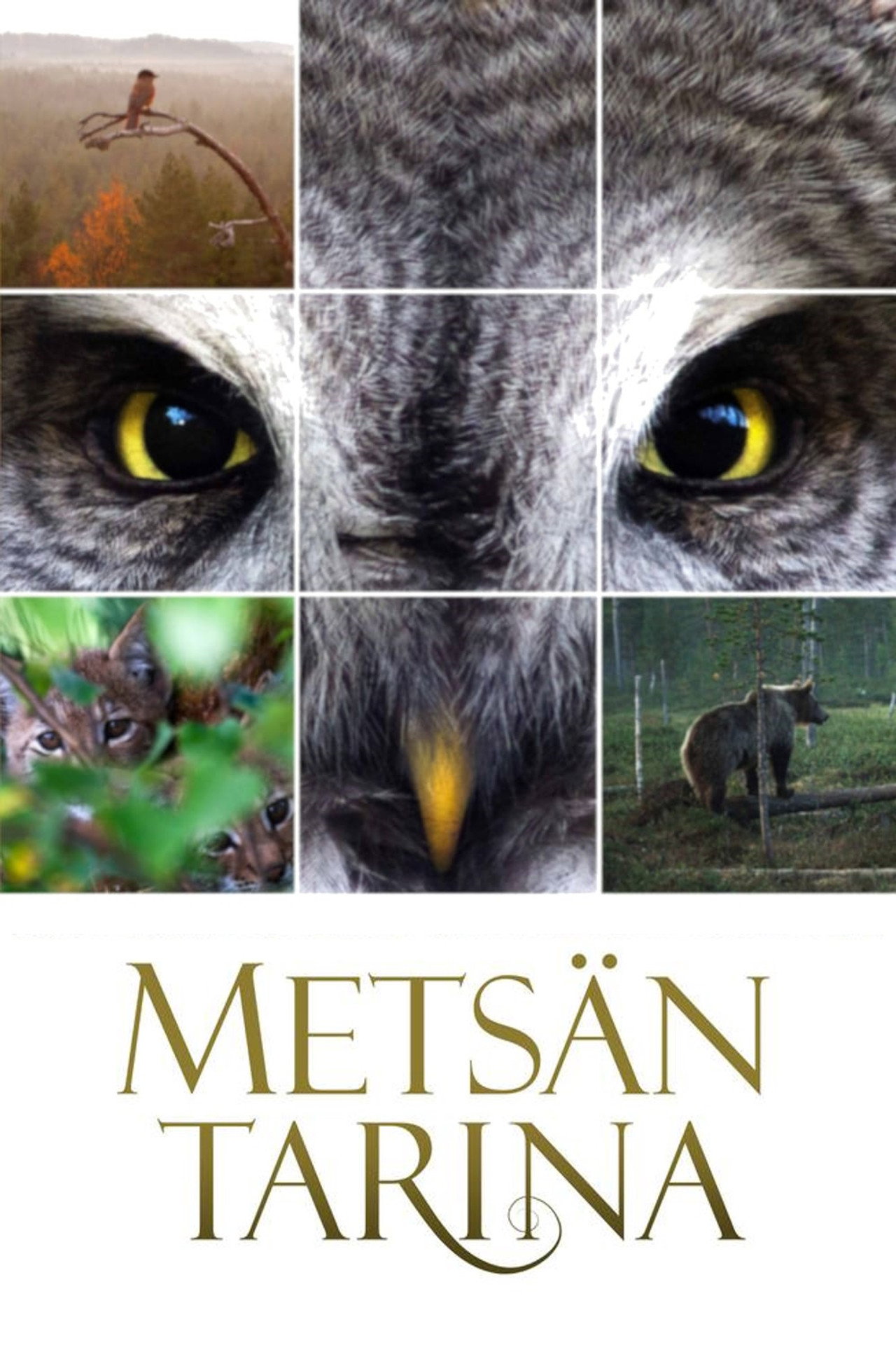 Metsän tarina filmaffisch