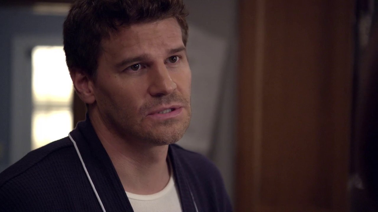 Bones - Season 6 Episode 6 : The Shallow in the Deep