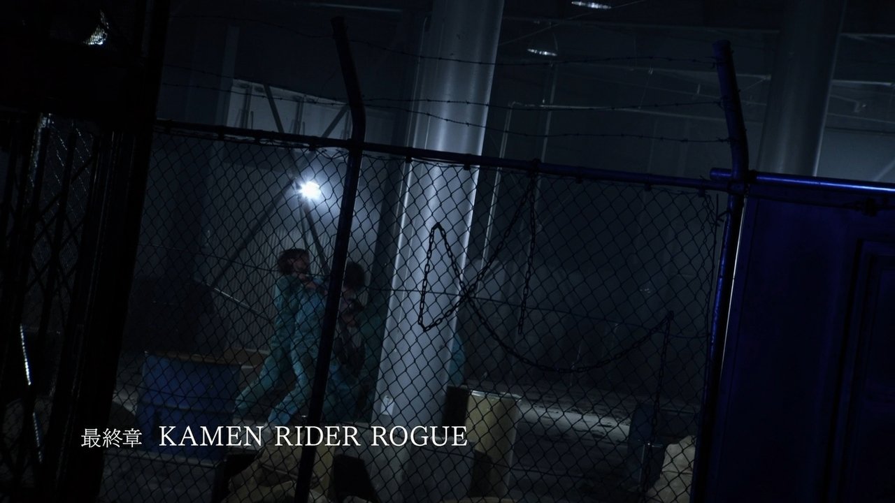 Final Chapter: KAMEN RIDER ROGUE
