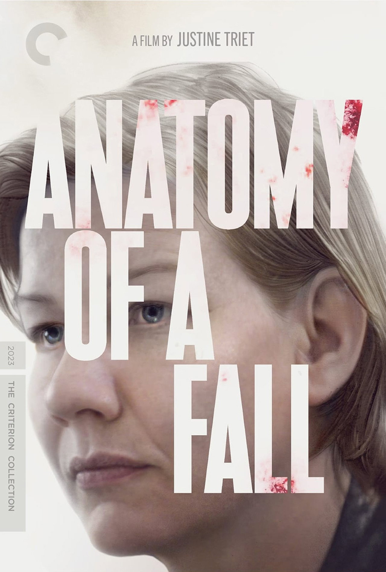 Anatomy of a Fall