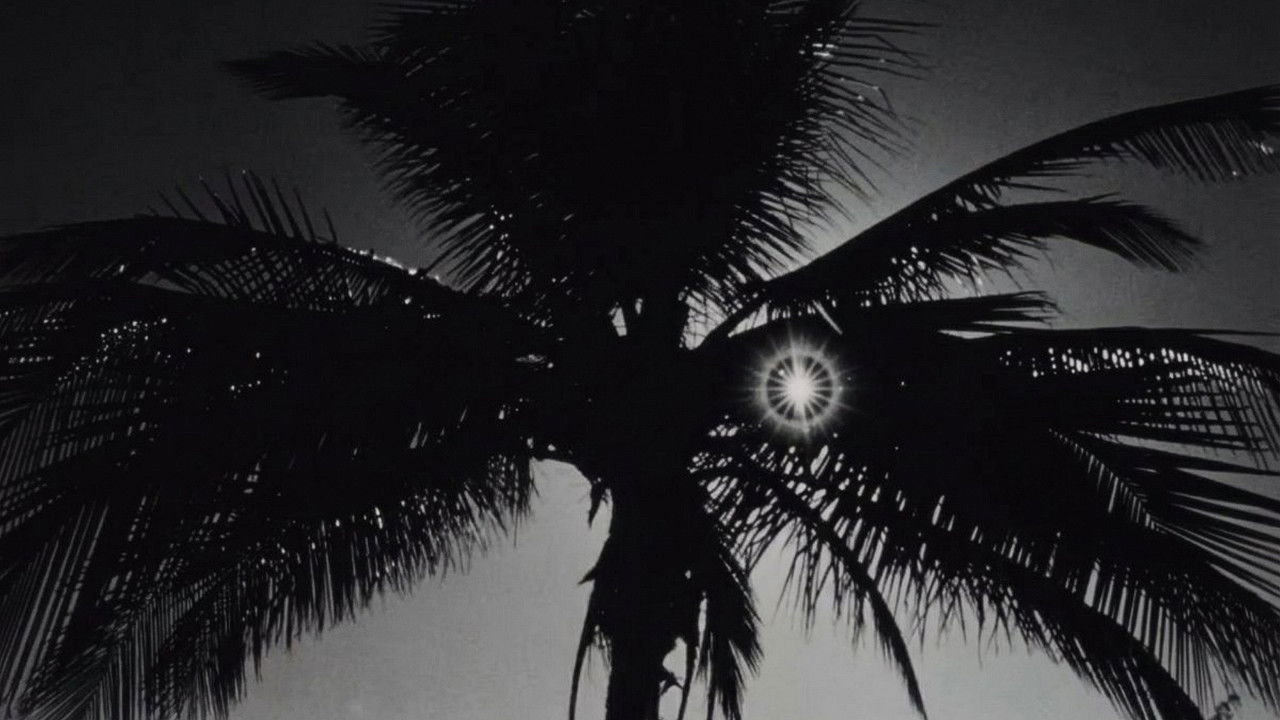 Rrugë Filmi Pjesa V backdrop