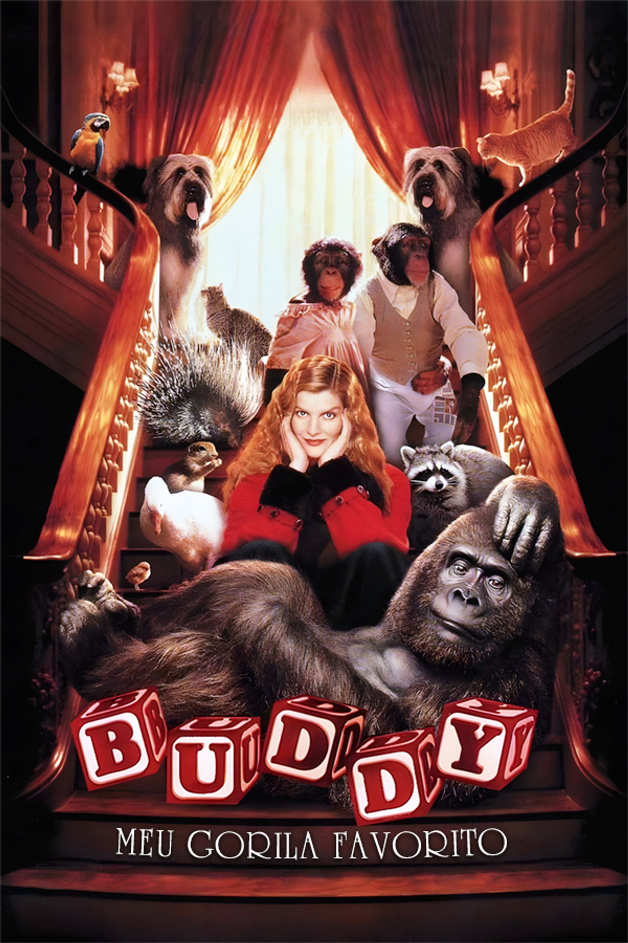 Pôster de Buddy, Meu Gorila Favorito