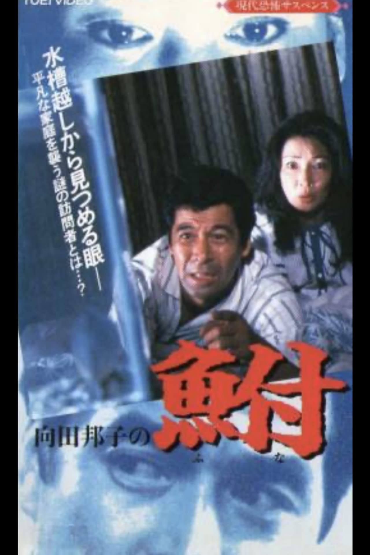 Kuniko Mukoda's Carp Backdrop