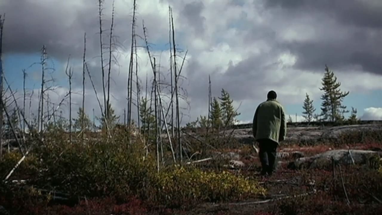 Drifting States (2005)