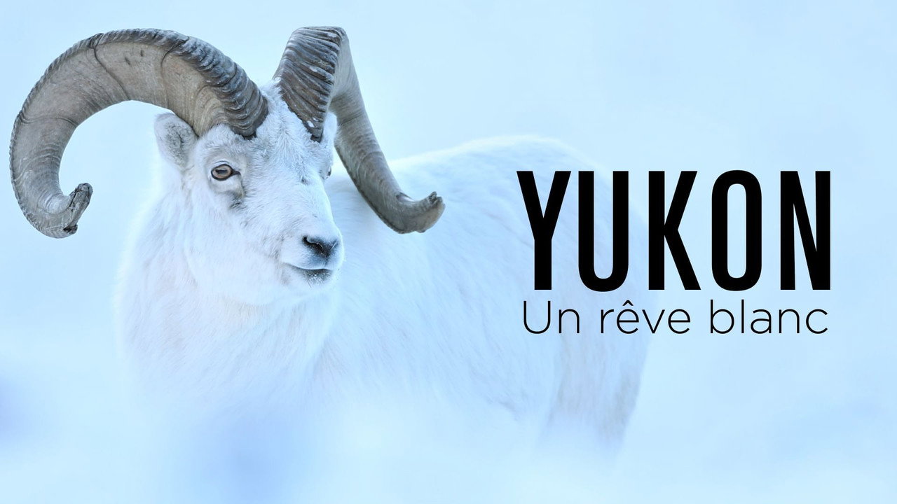 Trailer di Yukon : Un rêve blanc Immagine di copertina del trailer di Yukon : Un rêve blanc