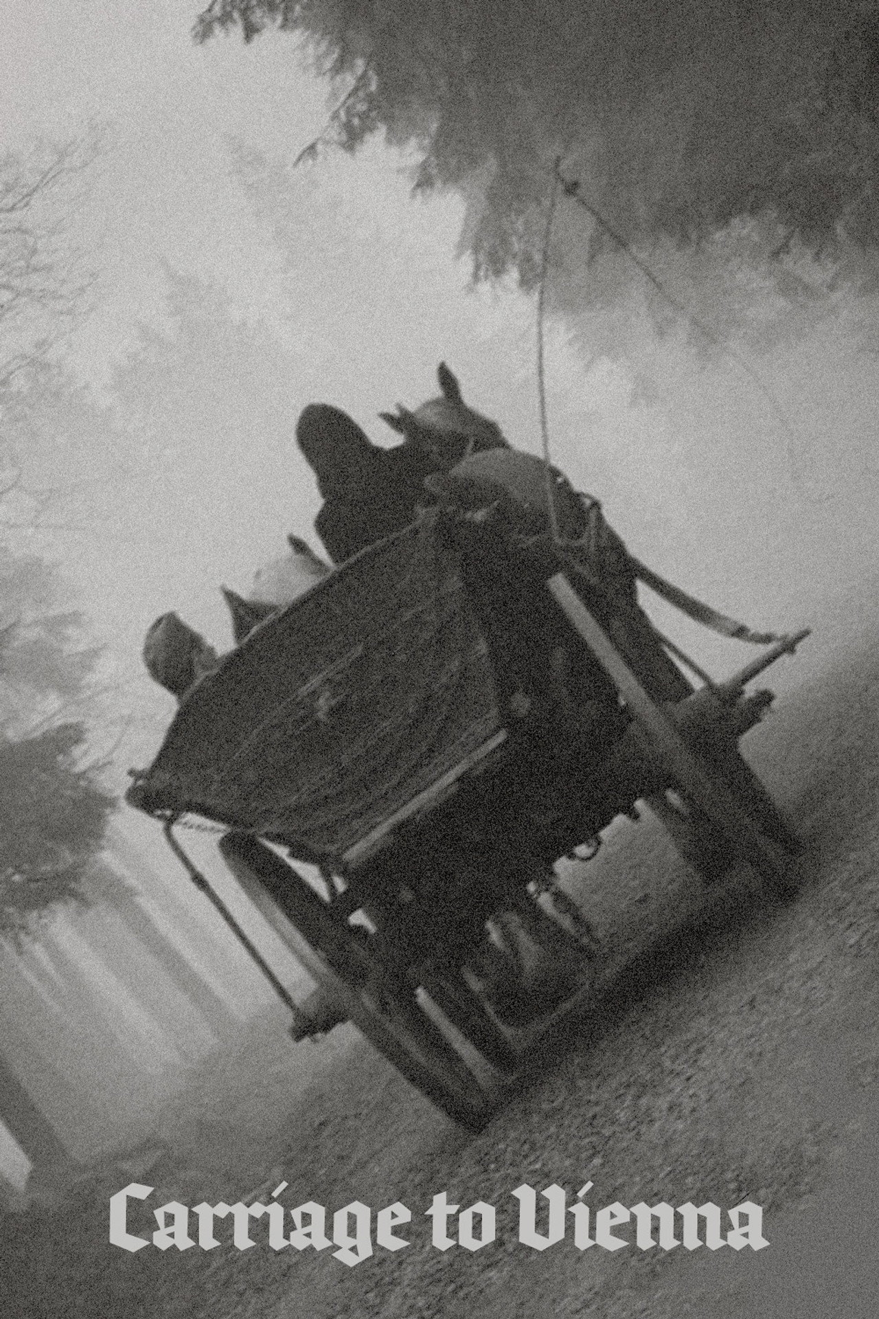 Carriage to Vienna