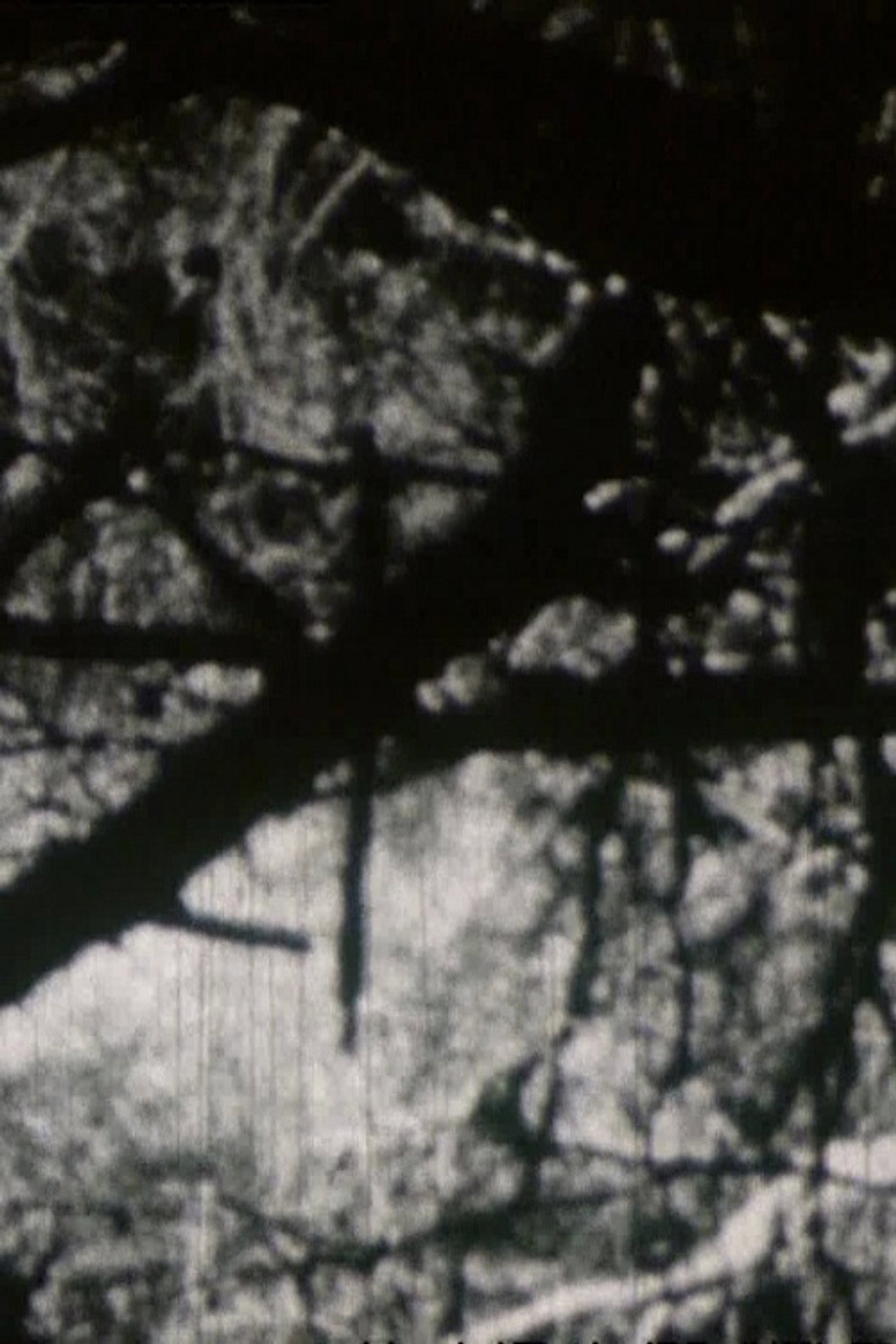 Crépuscule aux Aresquiers filmaffisch