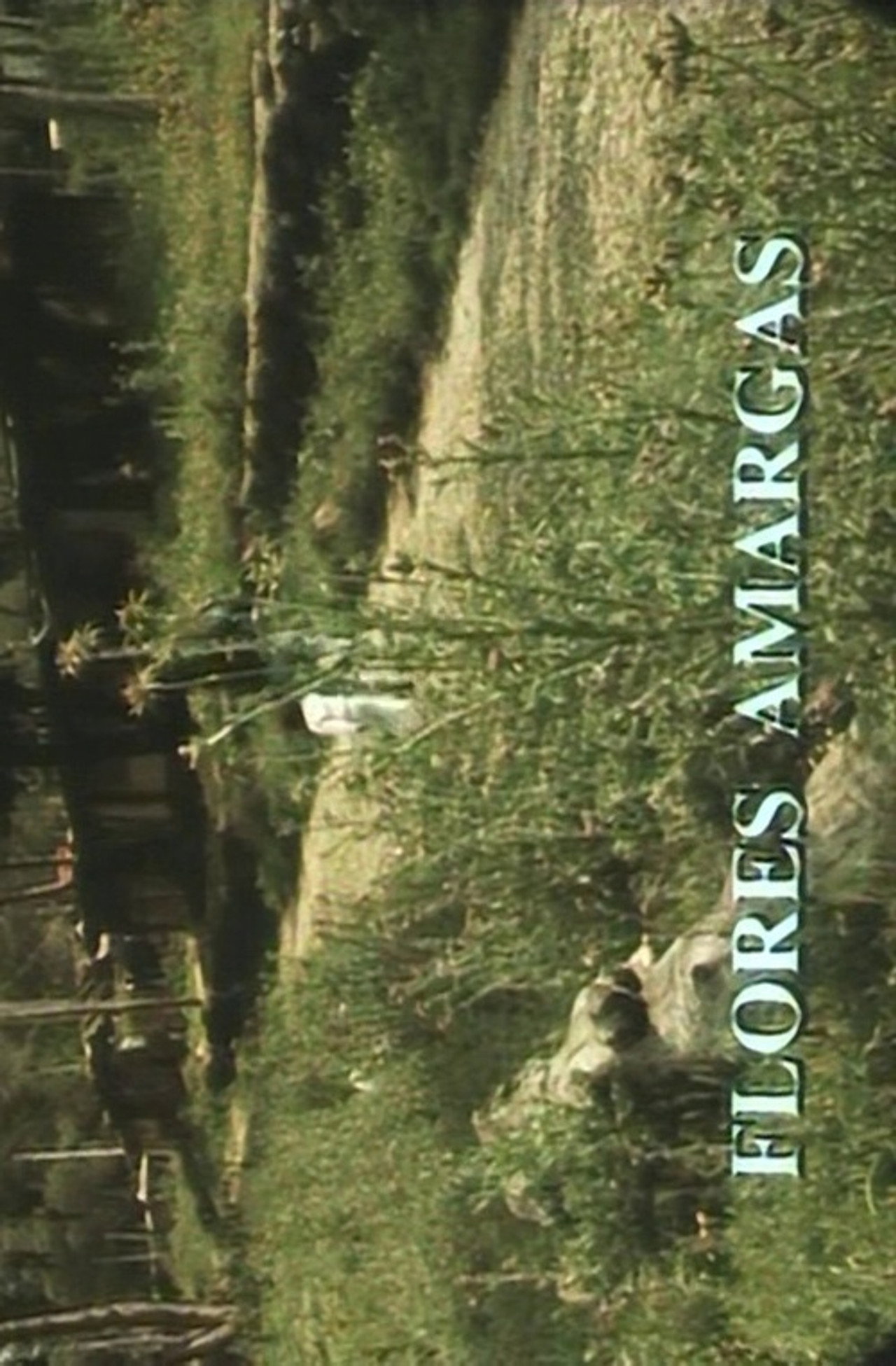 Flores Amargas Backdrop