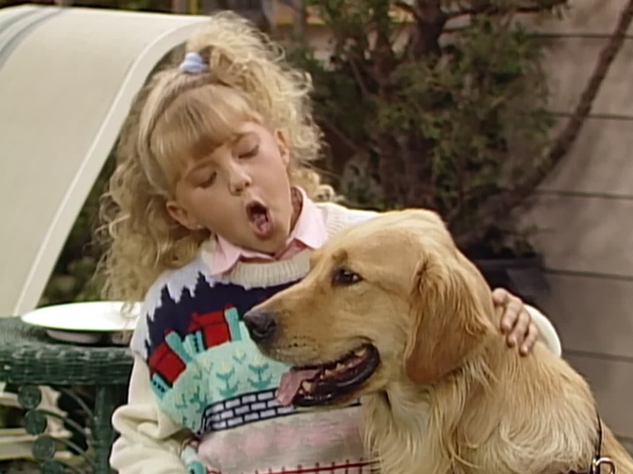 Full House - Season 3 Episode 7 : And They Call It Puppy Love